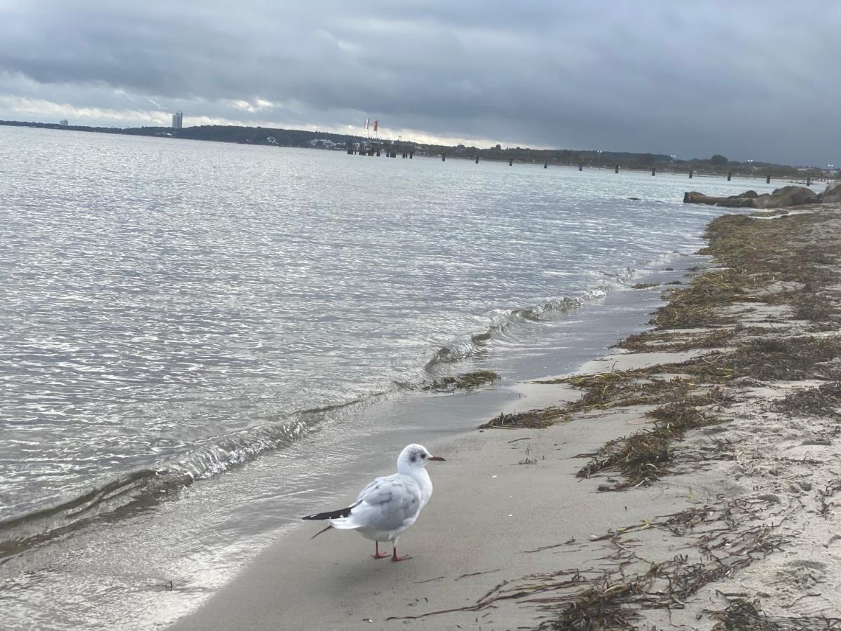 Ostsee In - Hansa Park *